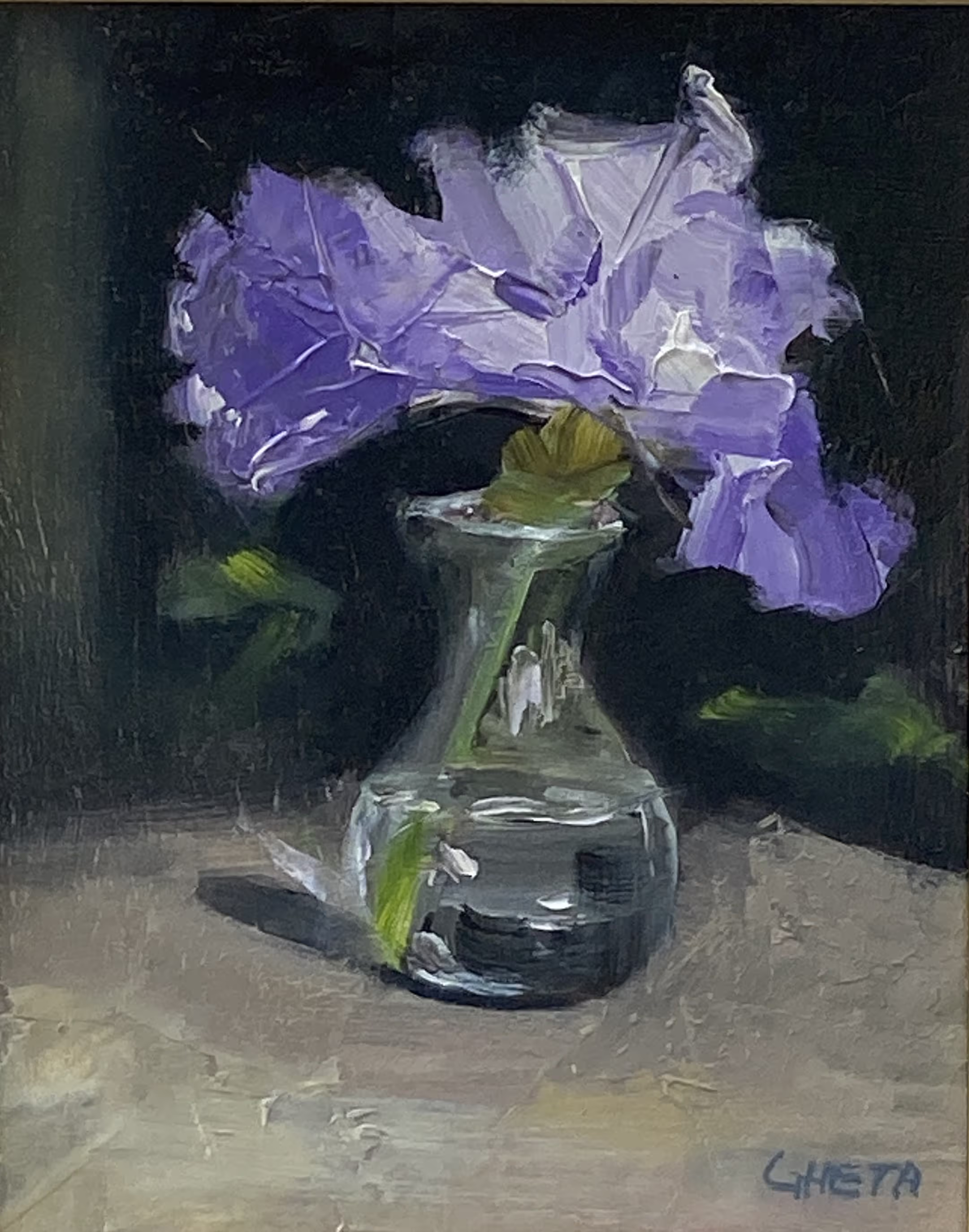 Front Yard Iris